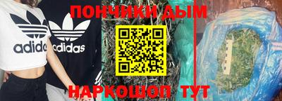 индика Беслан