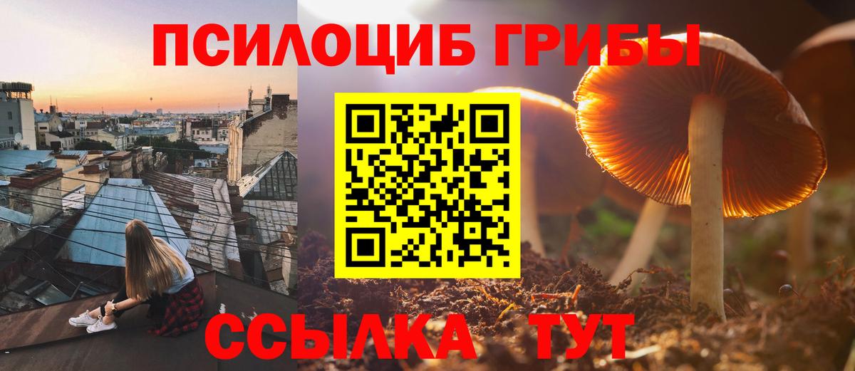 купить наркотики цена  Псилоцибиновые грибы ЛСД  Вход с VPN  Златоуст 